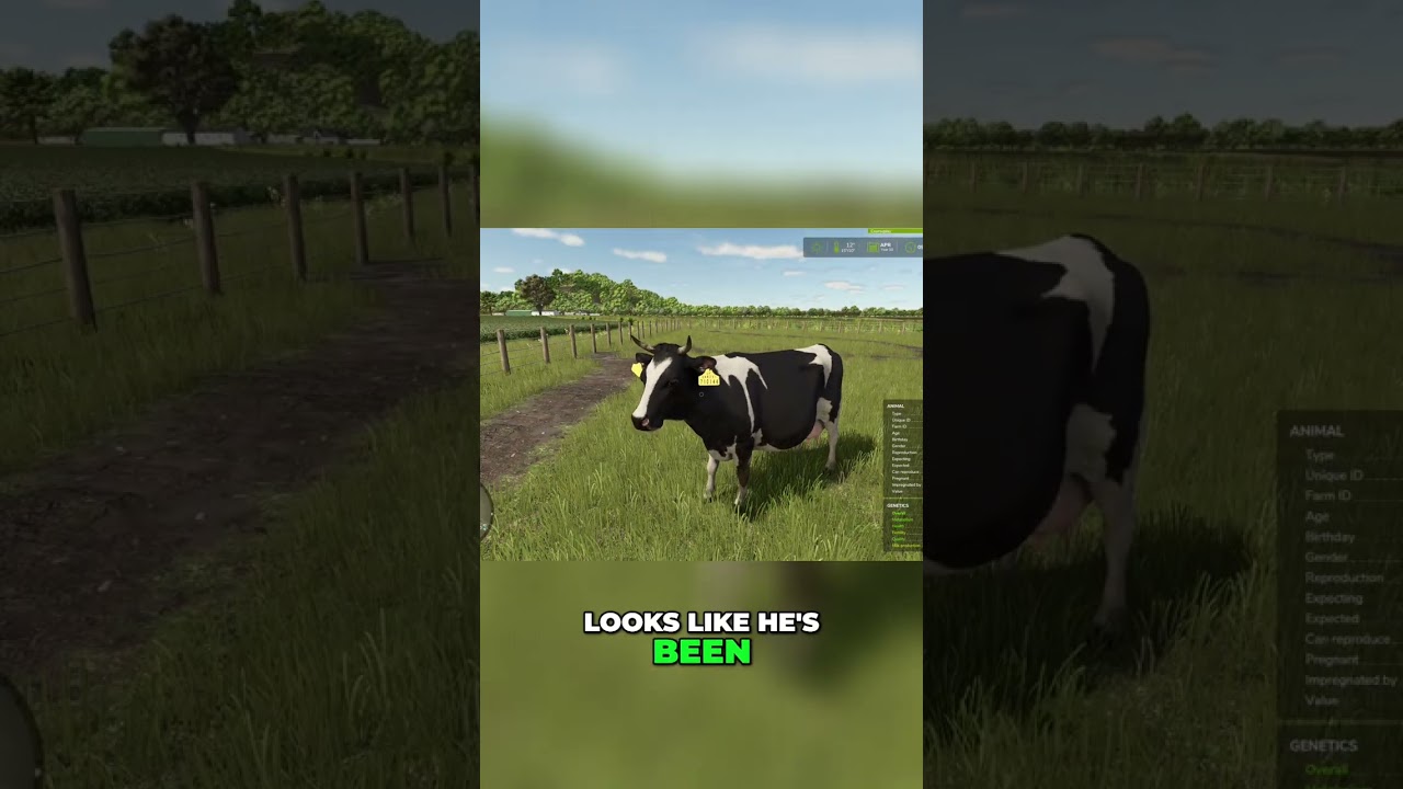 🐄Pregnant Cows! Farm Life Update! | FS25