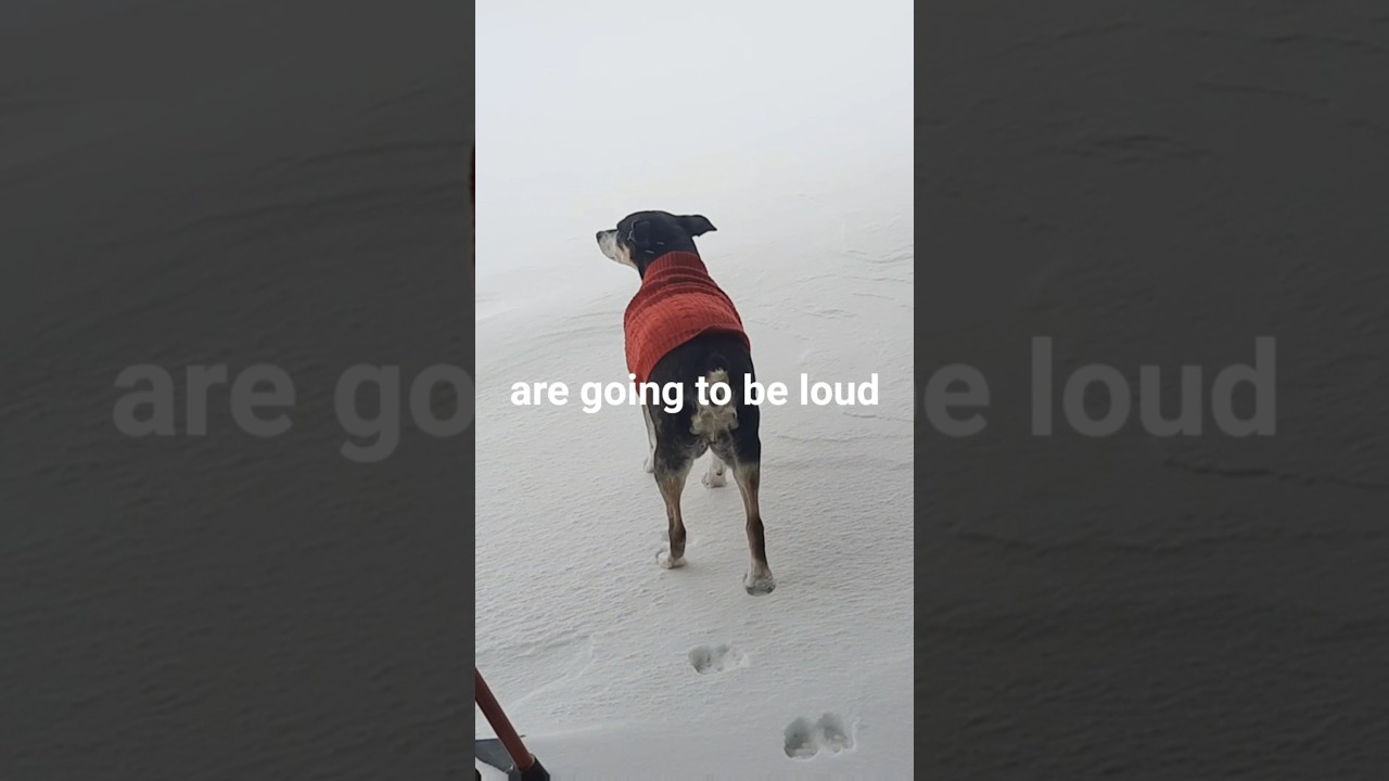 Snow day...not giving up 