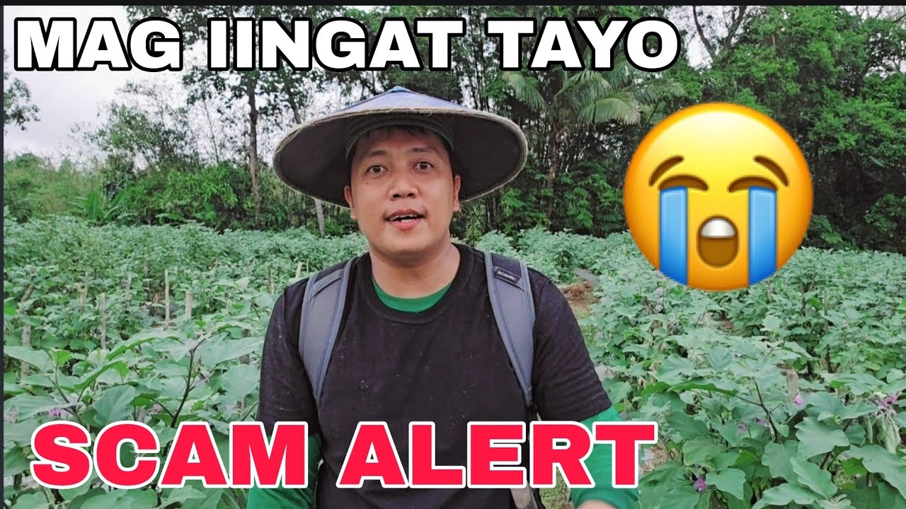 Na scam tayo Natakbuhan isang pitas ng talong namin.. Hindi binayaran ingat po tayo