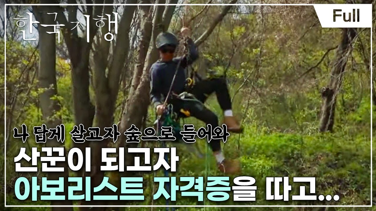 [Full] 한국기행 - 백두대간에 살어리랏다 2부 여우를 기다리는 숲