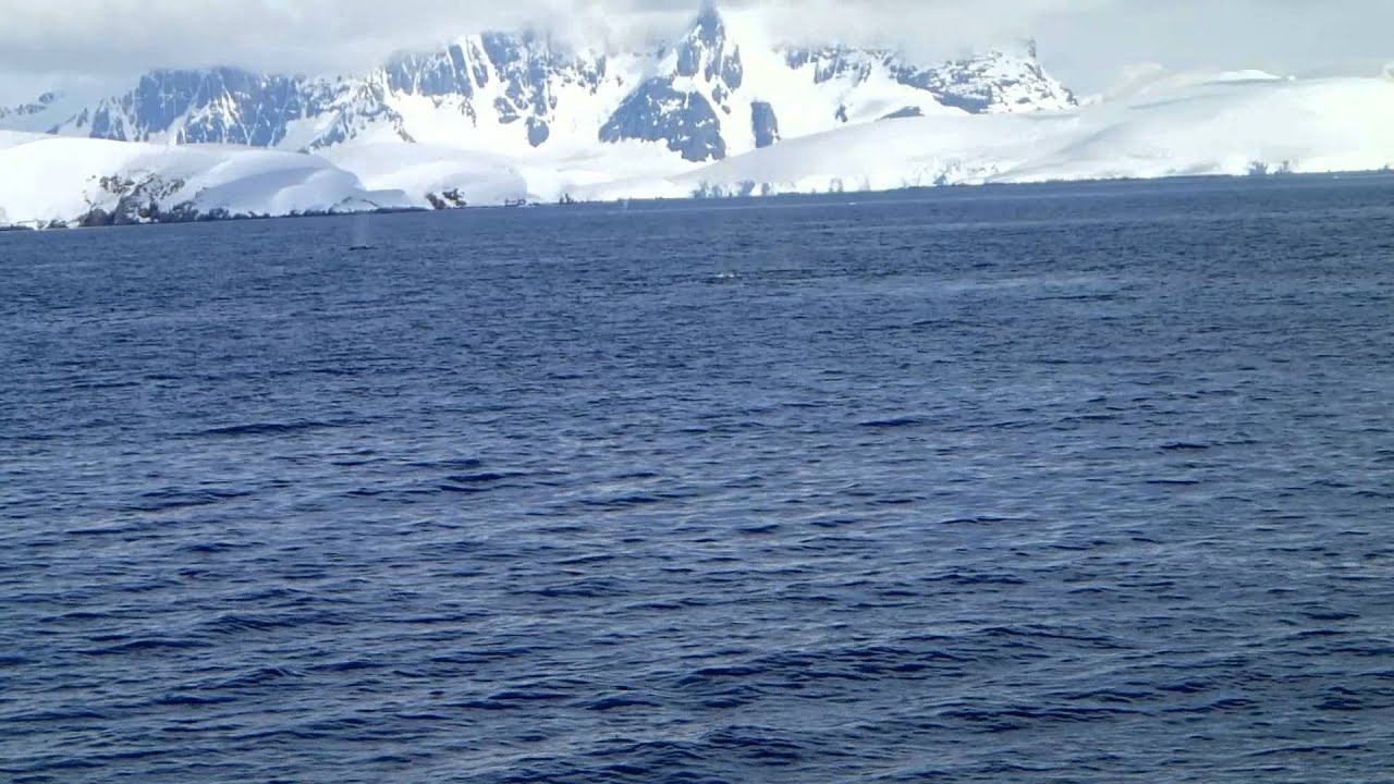 Humpback whale send-off, Dallmann Bay, Antarctica, January 2, 2014 (Part 1)