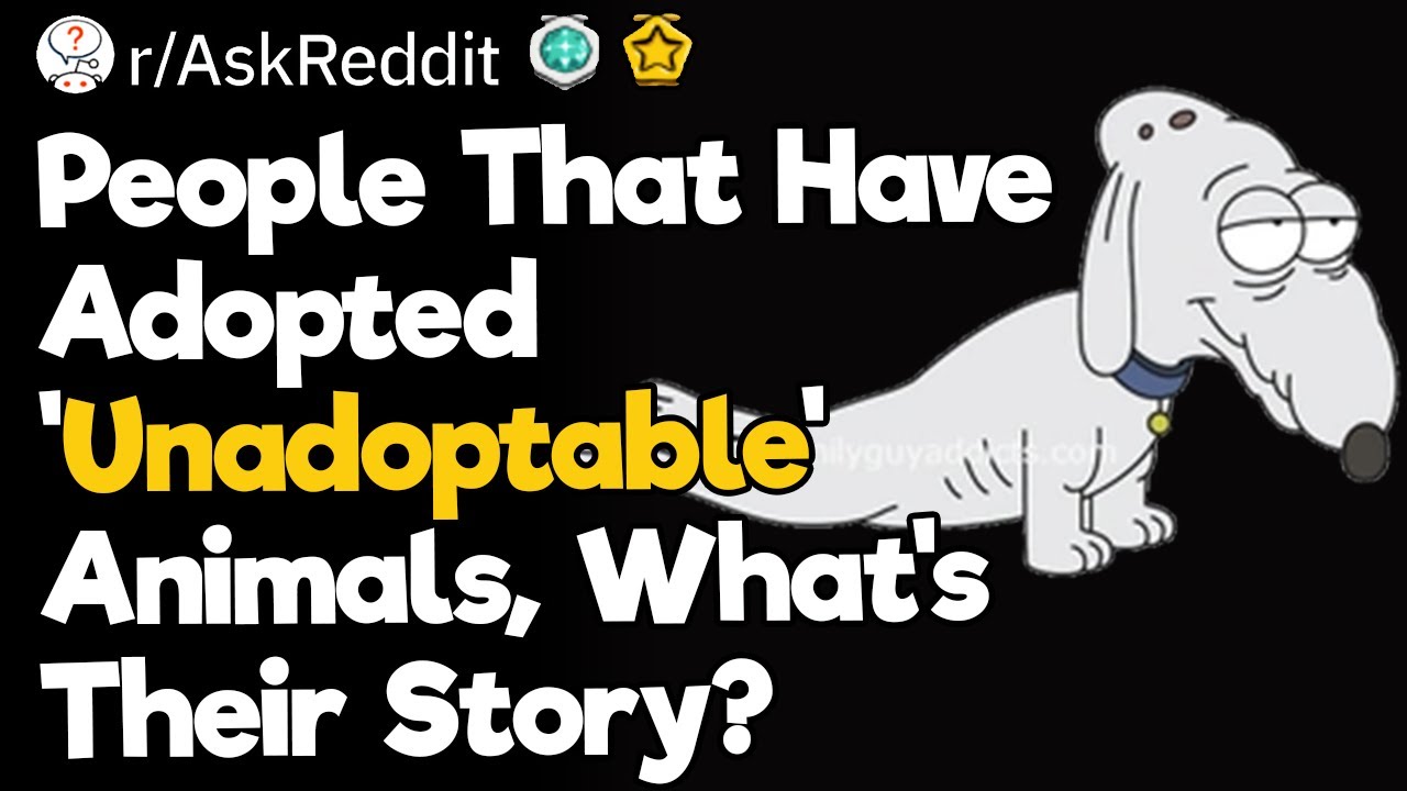 People That Have Adopted 'Unadoptable' Animals, What's Their Story?