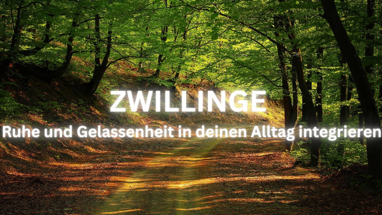 ZWILLINGE ♊️ Deine kommenden 3 Monate • Ruhe und Gelassenheit in deinen Alltag integrieren 
