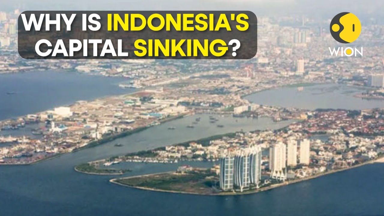 Jakarta is sinking. Can the Indonesian capital be moved? | WION Originals