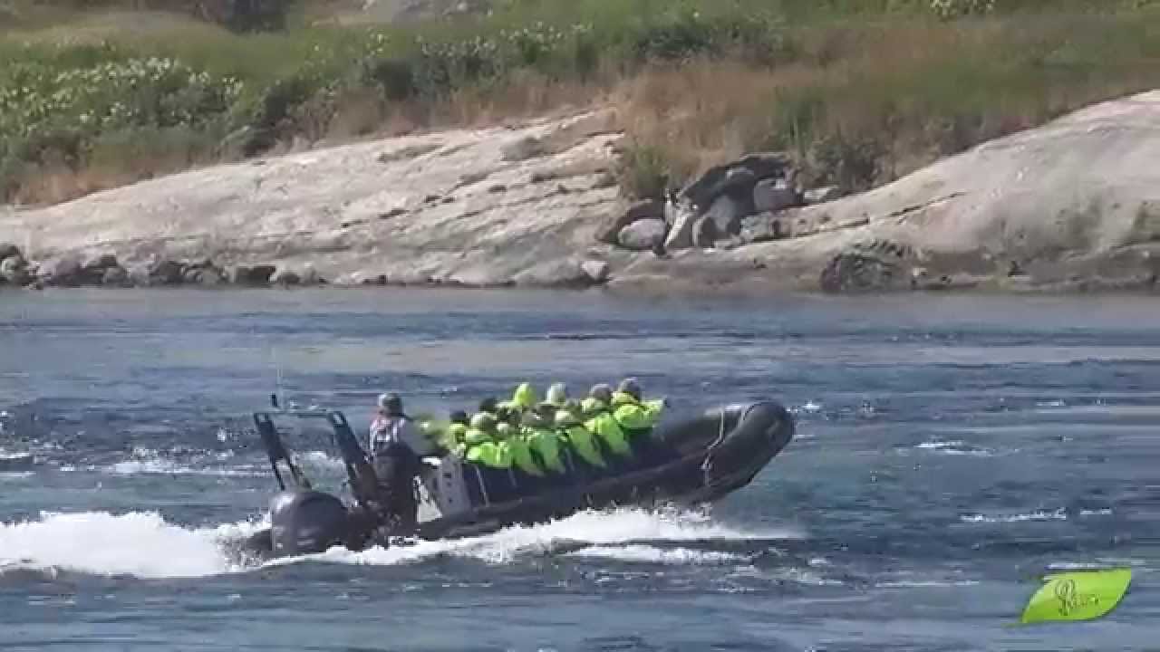 Sea rafting in Saltstraumen, World's strongest Maelstrom.