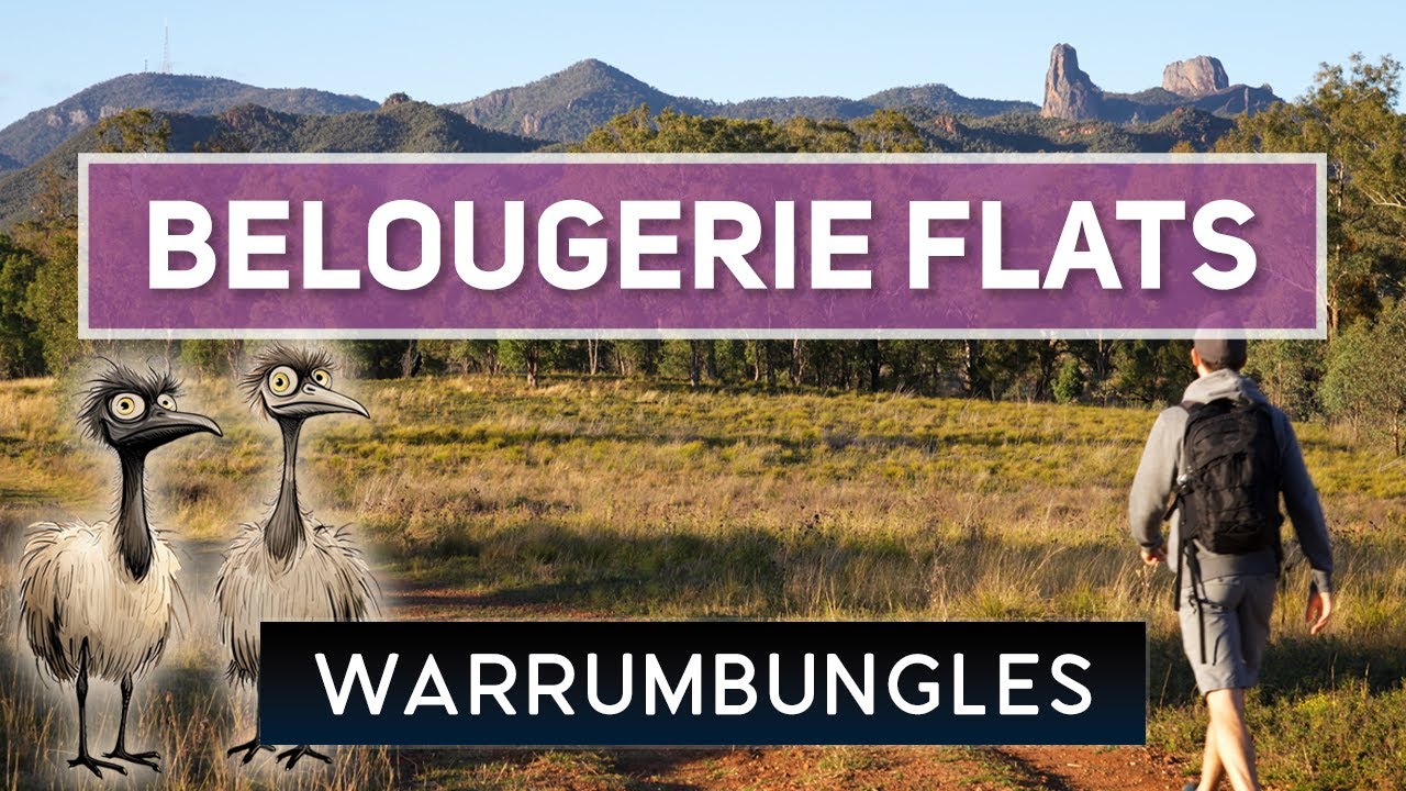 Are Emus Really Out Here? EASY Morning Hike at Warrumbungles