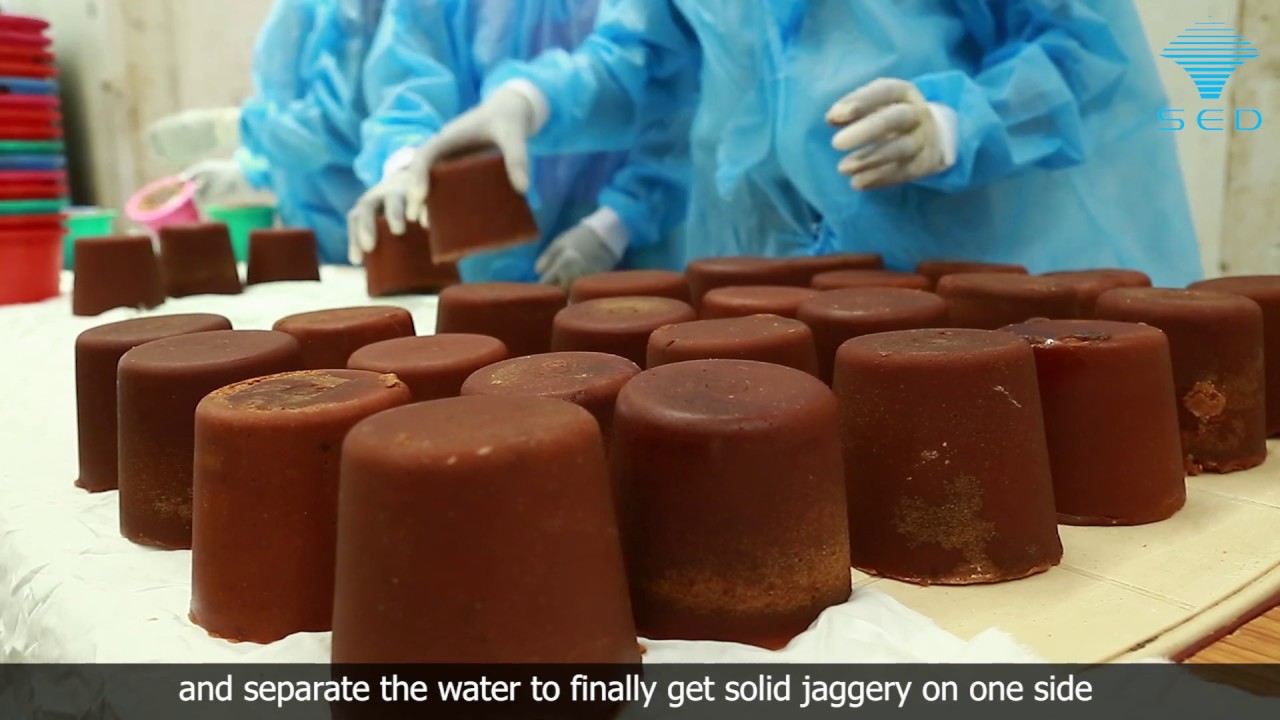 Modern Jaggery Production | Boiler Free | SED