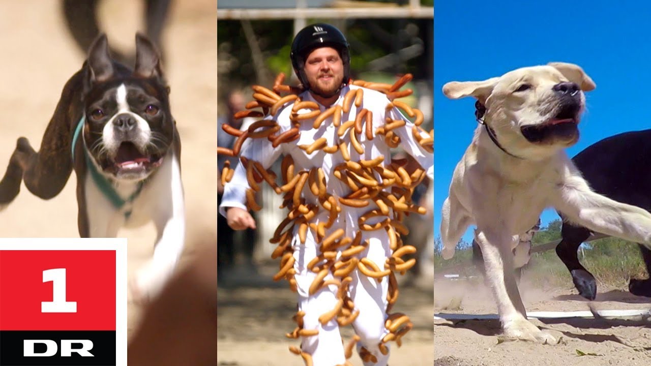 Pølsedragt vs. hunde | Alle mod 1 | DR1