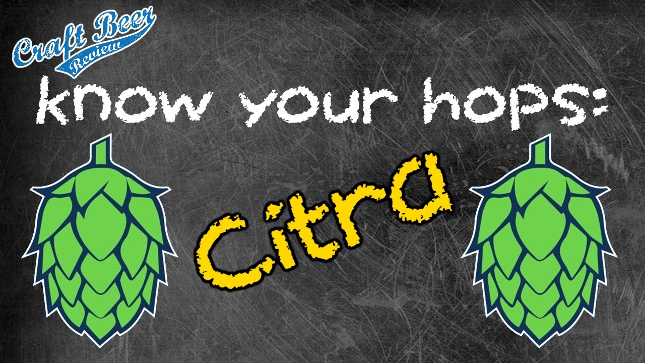 Know Your Hops: Citra