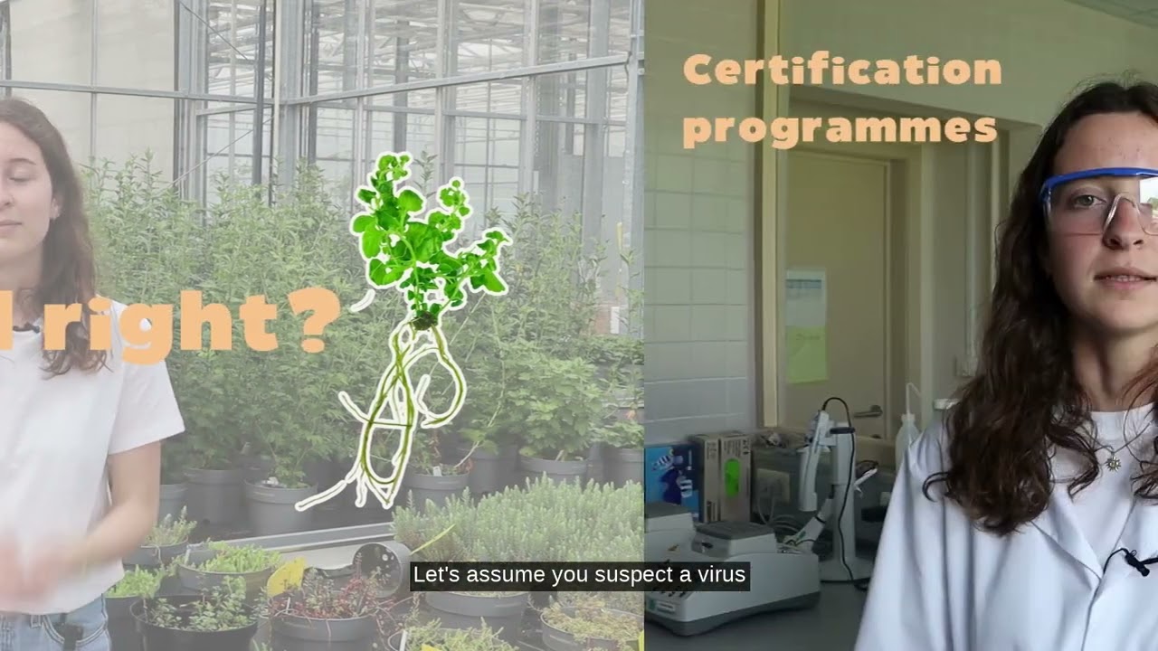 High-throughput sequencing: A gift for plant health