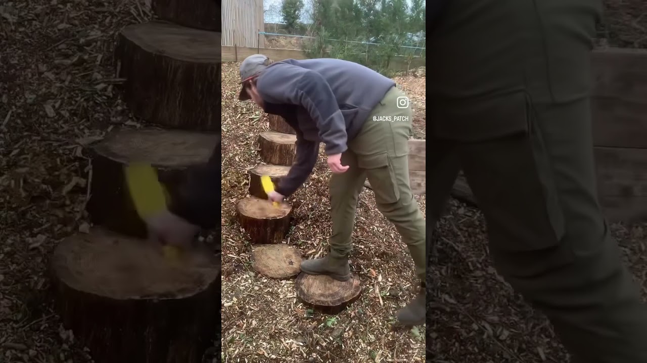 DIY Oak Log Steps 🪵#diy #gardendesign #pinterest