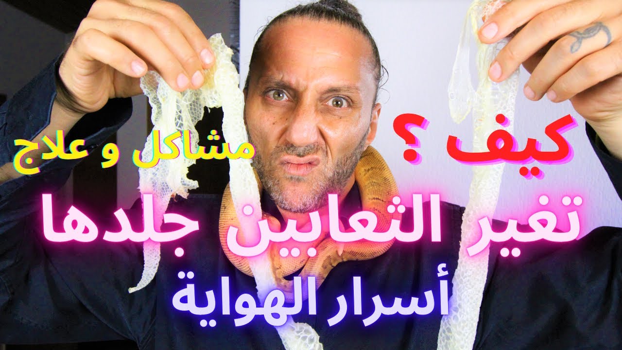 كيف تغير الثعابين جلدها ؟ لماذا تغير الأفعى ثوبها ؟  مظاهر تغير الأفعى جلدها و مشاكله Snake Shedding