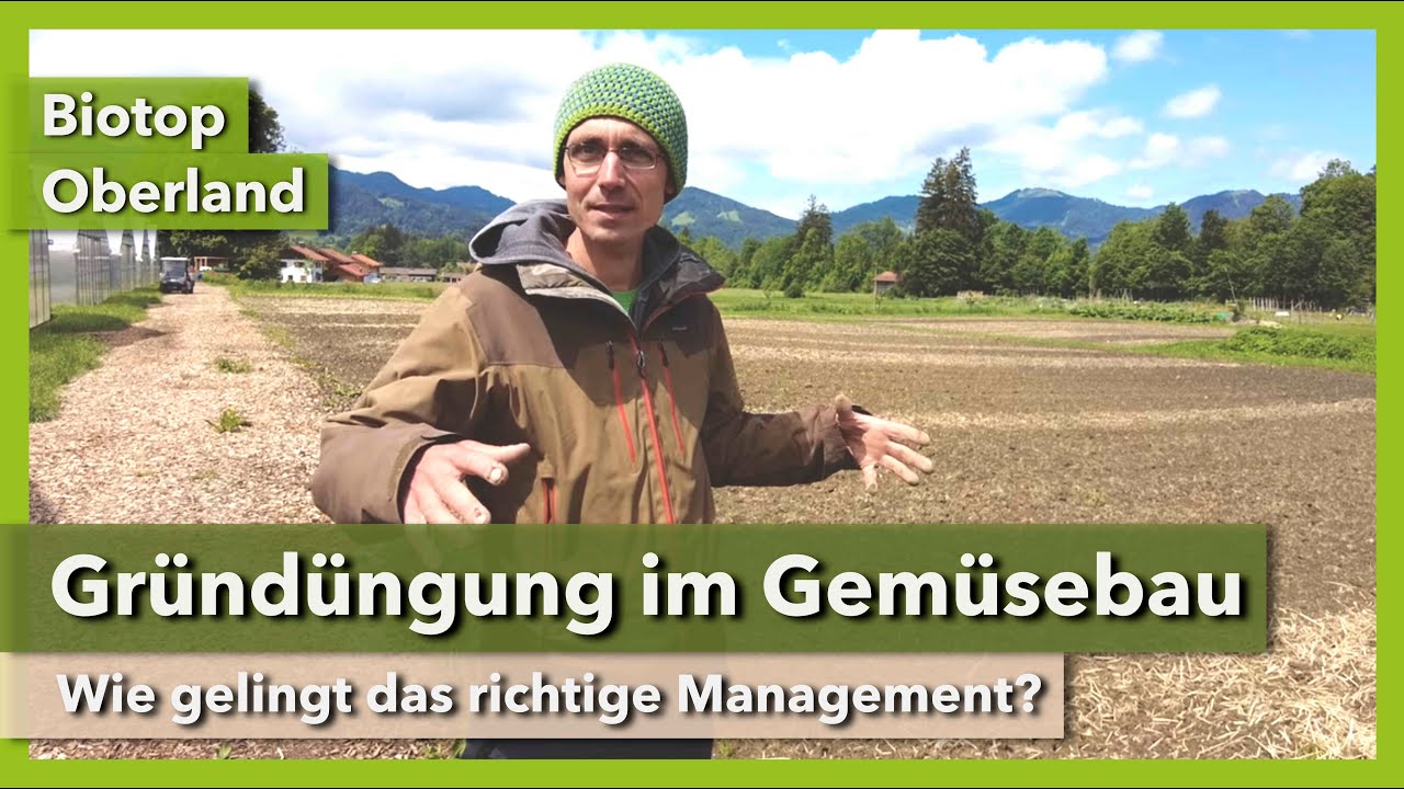 Gründüngung im Gemüsebau - Zeitpunkt, Technik, Wirkung | Biotop Oberland | Rundgang 3 | 2022