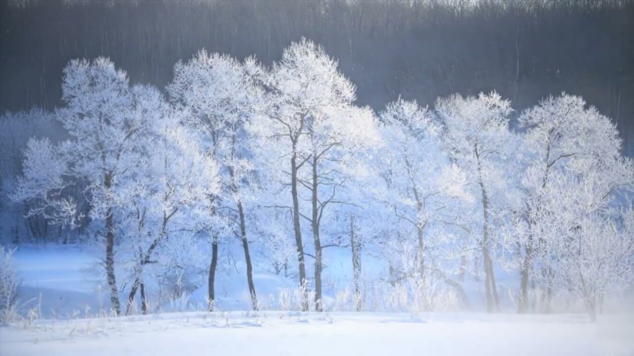 Relaxing BGM: Symphony in White