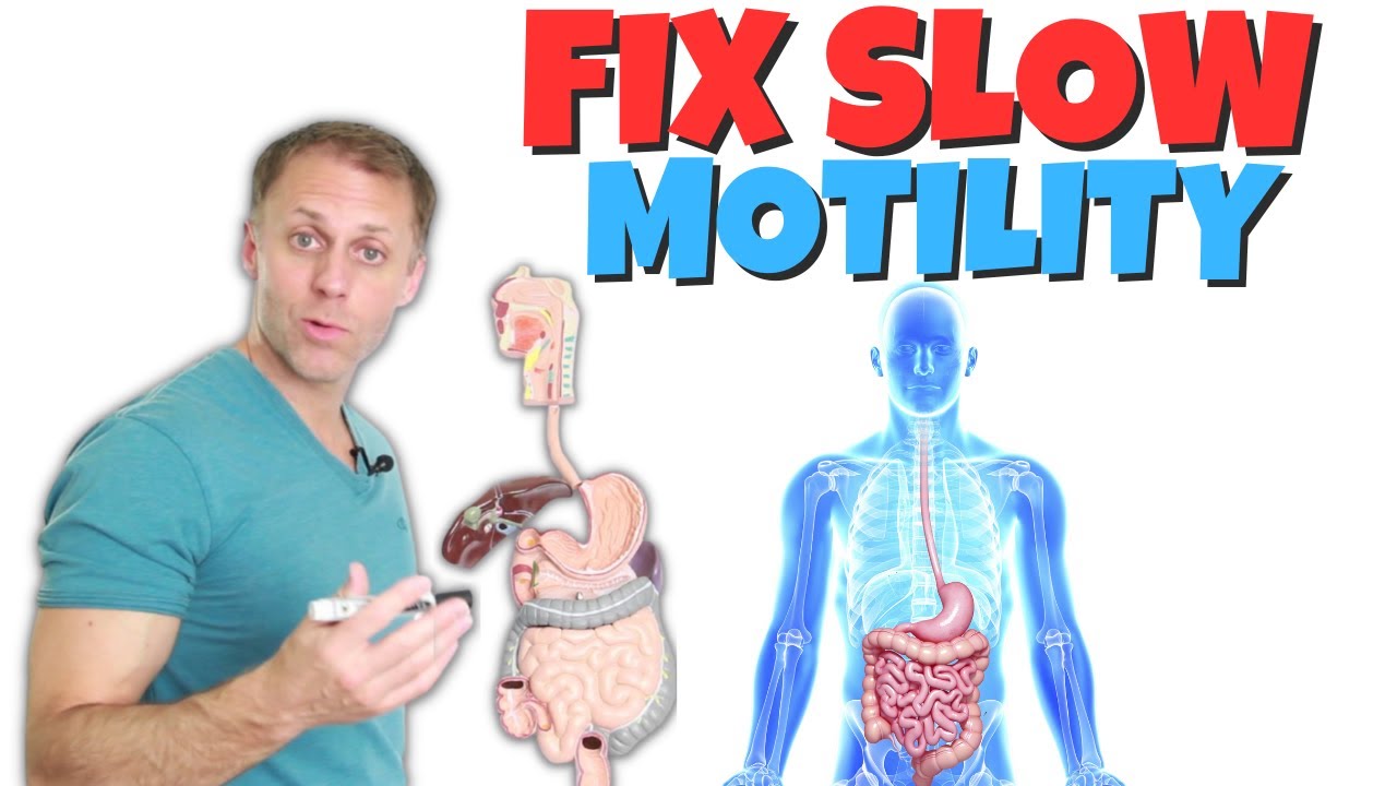 Understanding Slow Motility