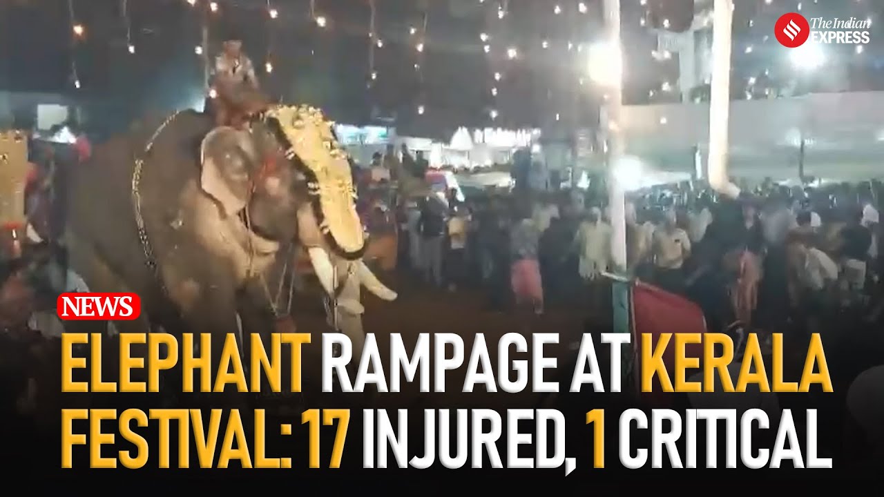 Watch : Kerala  Festival Turns Chaotic as Elephant Rampage Injures 17