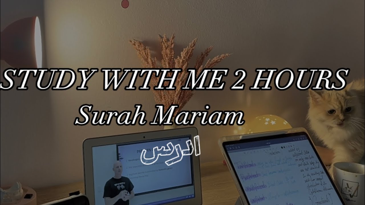 STUDY WITH ME 2 Hours  | Surah Maryam.ادرس معي ساعتين مع تلاوة القرآن
