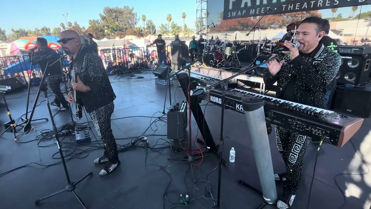 Enfrentamiento musical bondadosos y felinos@diario Del Pueblo suscríbete🎥🎬🎶