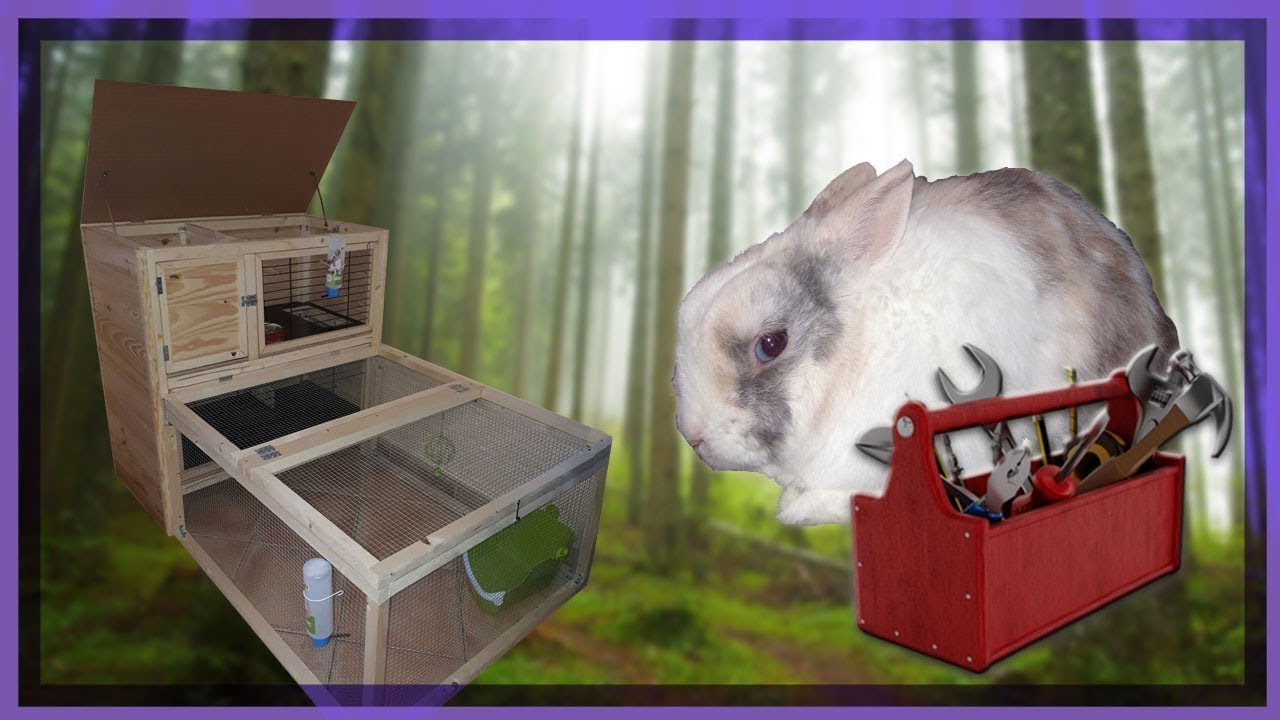 Présentation de mon lapin et  son clapier fait maison.