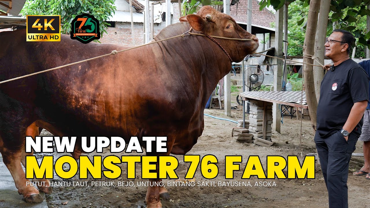 Update Kabar Terbaru Amunisi Team 76 Farm Harimau Sumatera