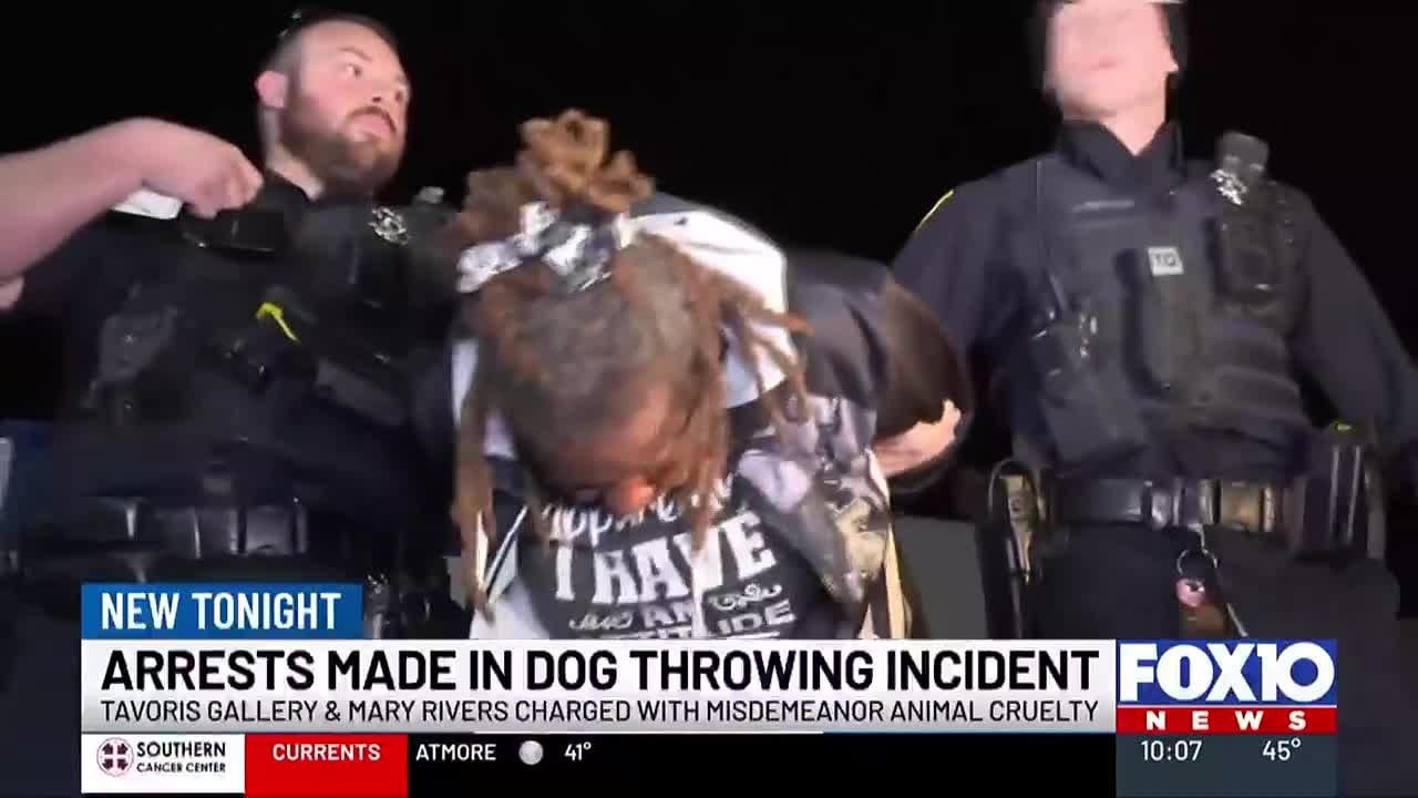 Suspects arrested after allegedly throwing 2 dogs off Dog River Bridge