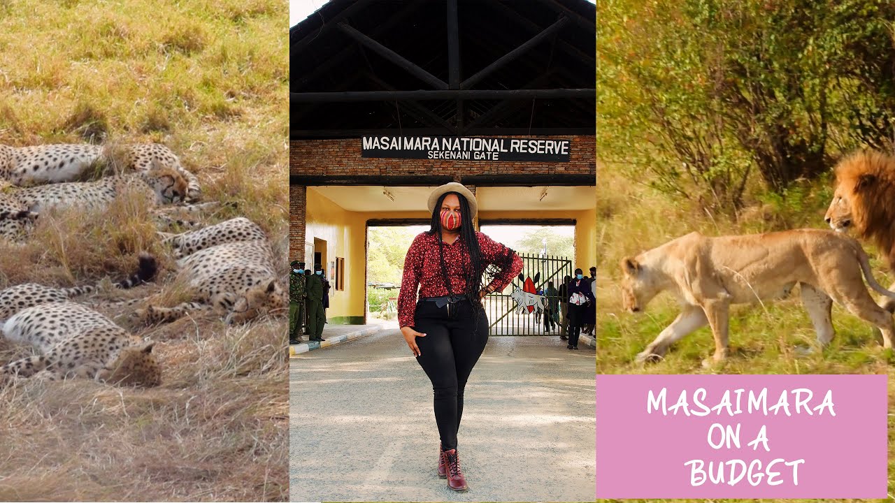 Let's Go To The Masai Mara