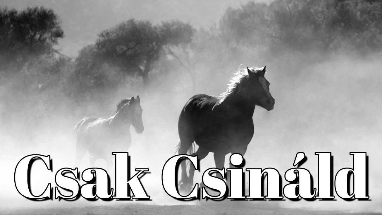 Csak Csináld -Válassz egy lapot!- [Tarot Kártya]