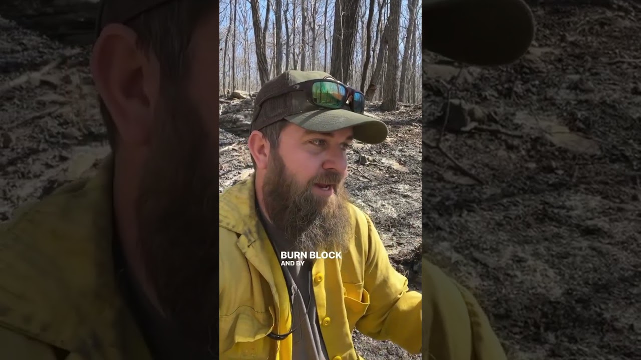 Prescribed burn gone wrong because of one huge mistake! #conservation #rxfire