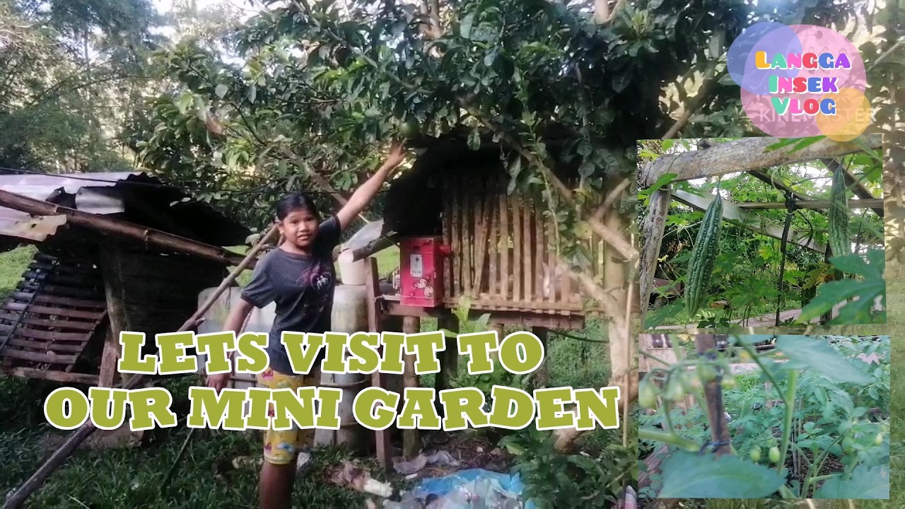MAGANDANG UMAGA SA INYO AT SA AMING MGA MAYAYABONG AT MATATABANG HALAMAN SA AMING GARDEN