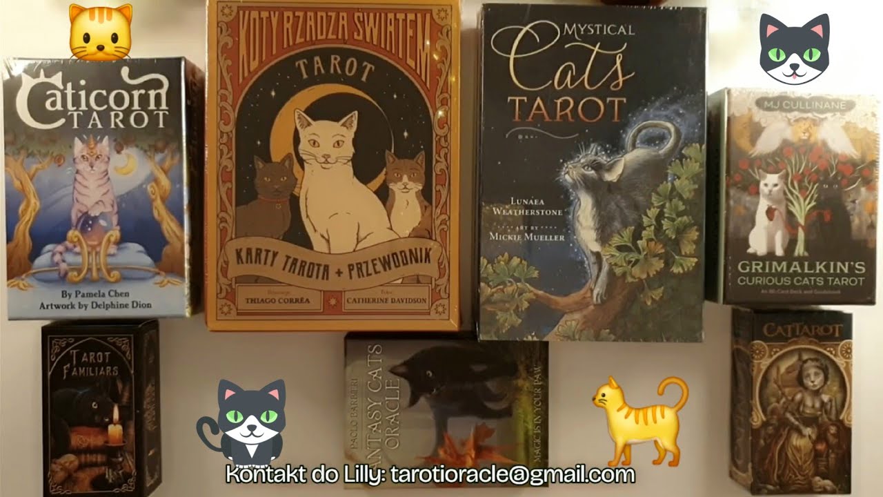 Karty z Kotami 🐈😽🐈‍⬛ Zestawienie kilku talii  🐈‍⬛😻🐈 szybki przegląd książeczek i kart 😽