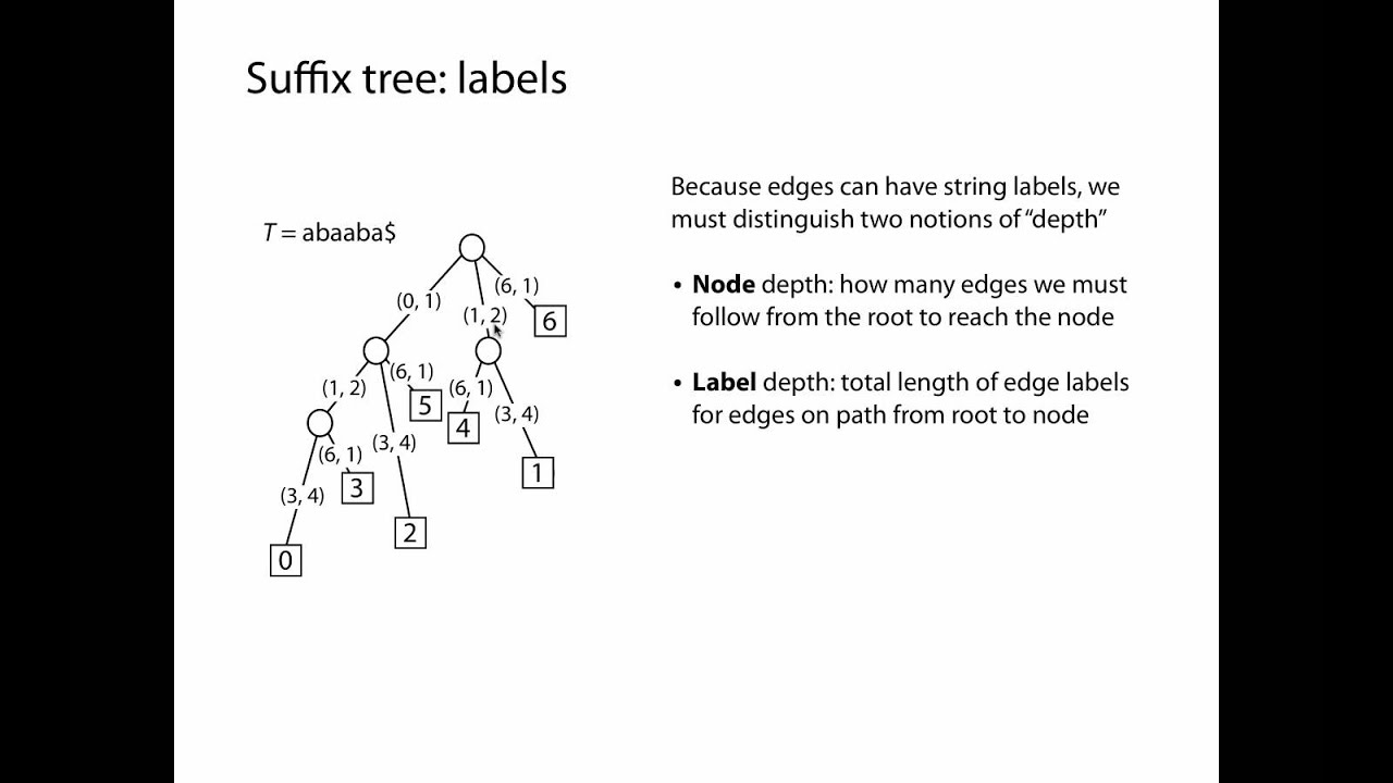 Suffix tries and trees