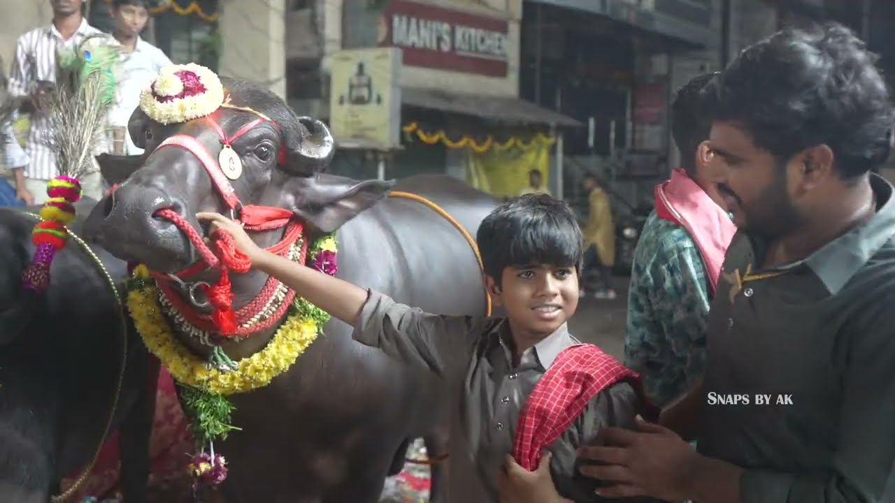 Balanagar Akhil Yadav Sadar | KORAM'S SADAR SAYYATA 2024 |  Snaps By Ak | Highlights