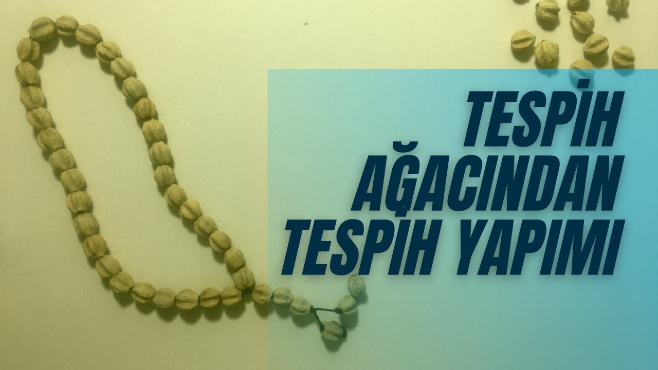 Tespih Ağacı Tohumundan Tespih Yapımı