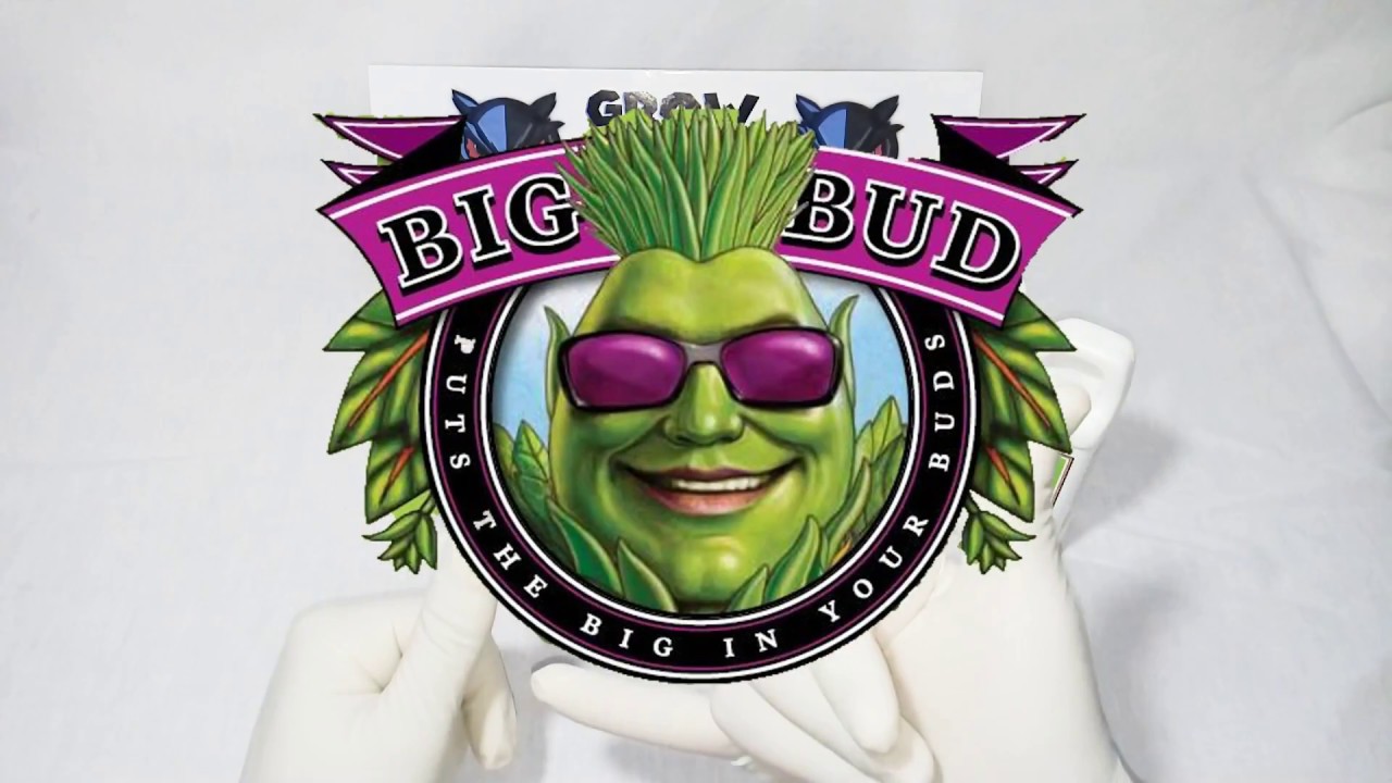 Advanced Nutrients B-52 BIG BUD OVERDRIVE VOODOO JUICE - Demonstra&ccedil;&atilde;o Duality Grow Shop