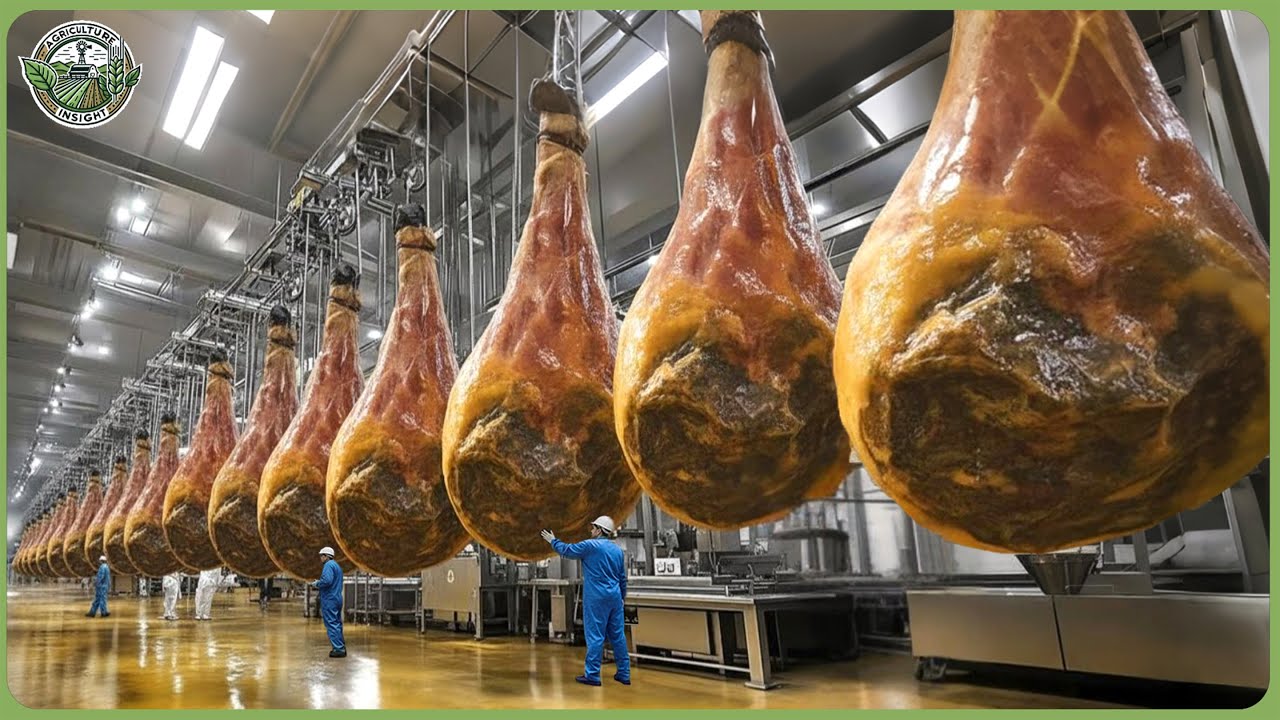 Inside the World&rsquo;s Most Expensive Animal Products &ndash; How Modern Technologies Process Them
