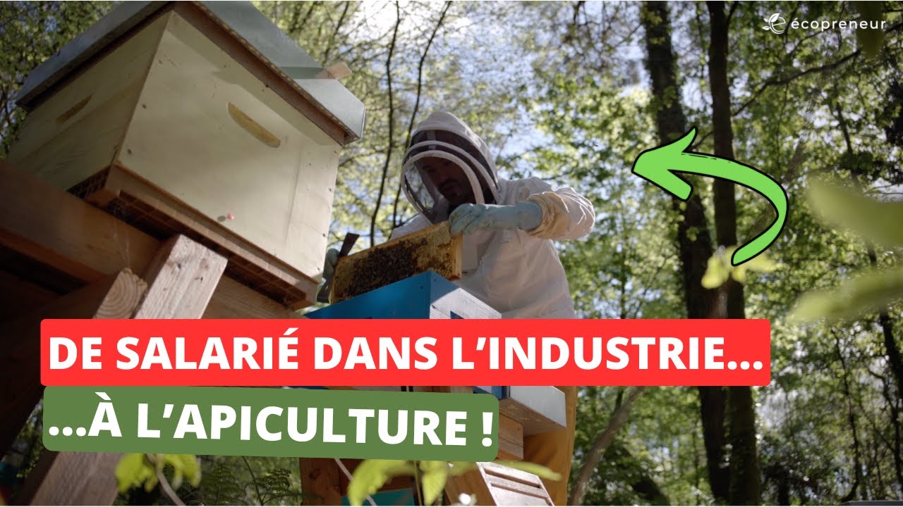Il a tout quitté… pour vivre avec les abeilles 🐝