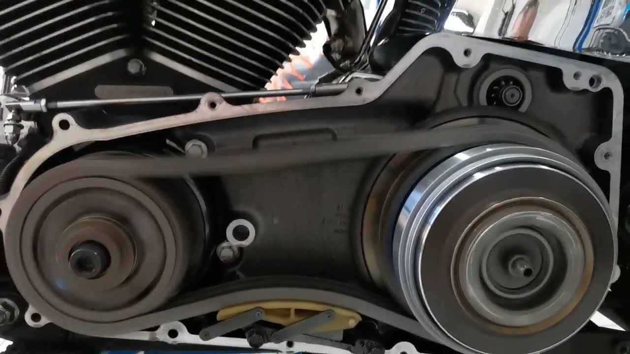 Harley 2008 Softail Deluxe primary chain noise.