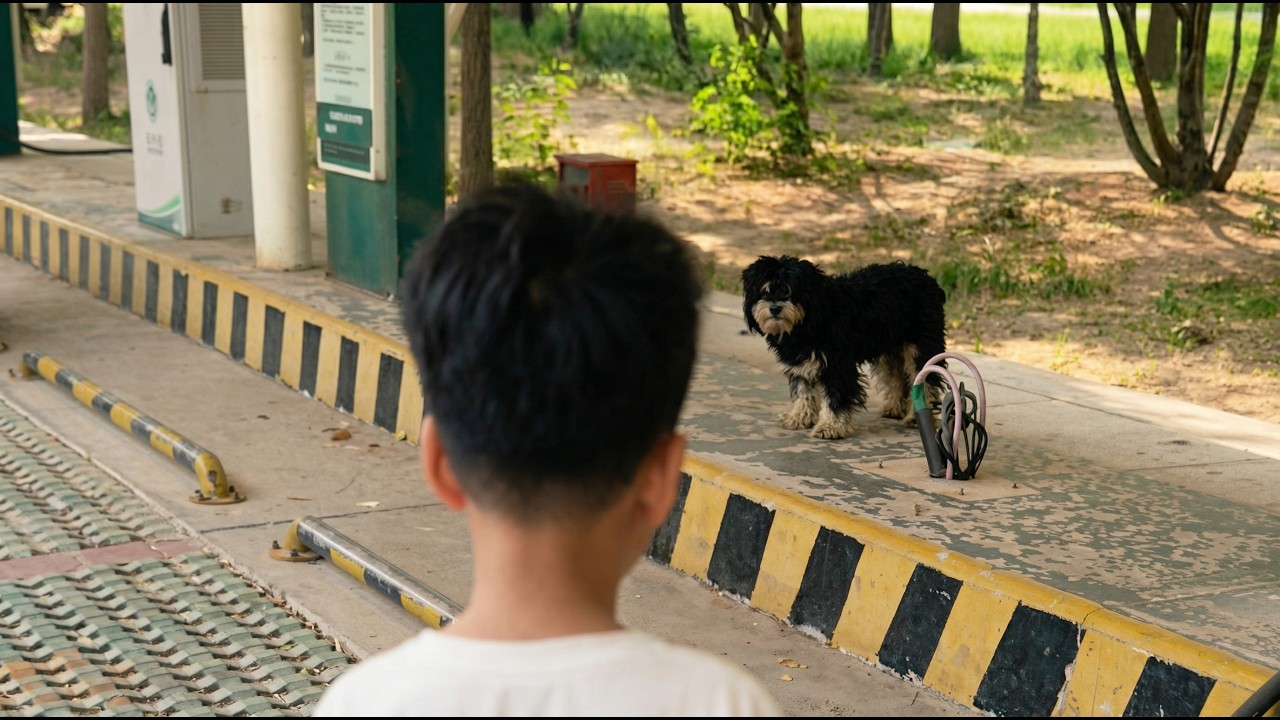 Stray Dog Refused To Be Saved, Until I Brought Someone Unexpected