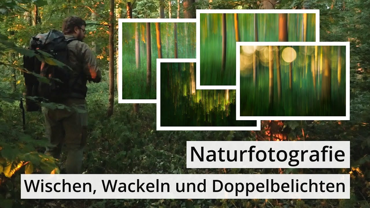 Naturfotografie: Sommerliche WISCHERFREUDEN (aka ICM) mit Doppelbelichtungen und so Zeug