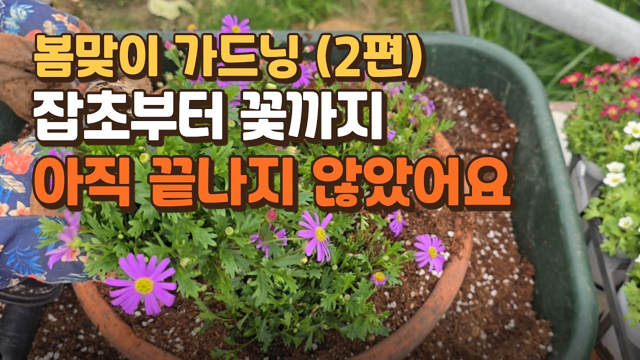 봄맞이 가드닝 2편 | 잡초부터 꽃까지 아직 끝나지 않았어요