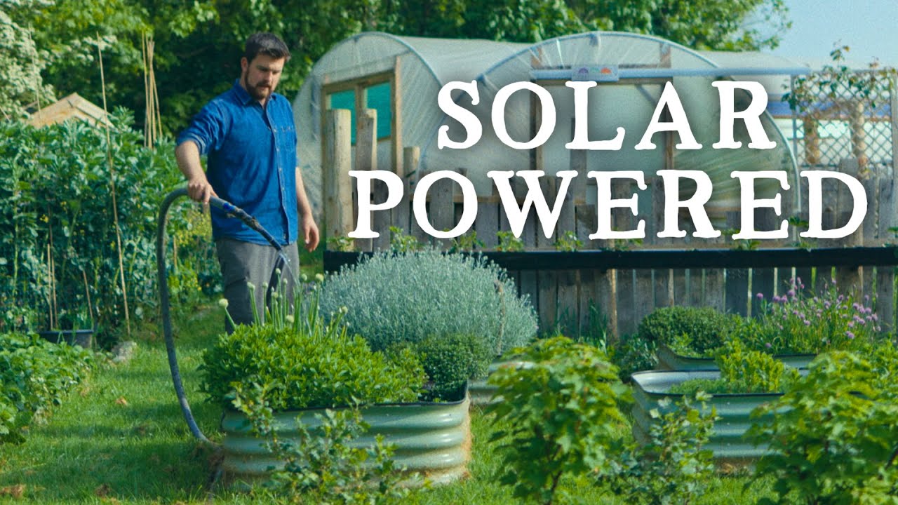 My Off-Grid Water Setup & Tomato Planting | Huw's Garden Diaries