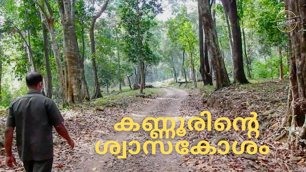 Aralam Wildlife Sanctuary Kannur | Aralam Trekking