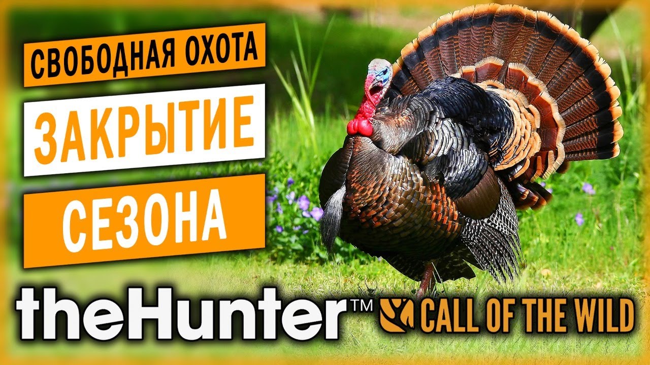 theHunter Call of the Wild #17 🦃 - Закрытие Летнего Сезона Стримов! - Свободная Охота