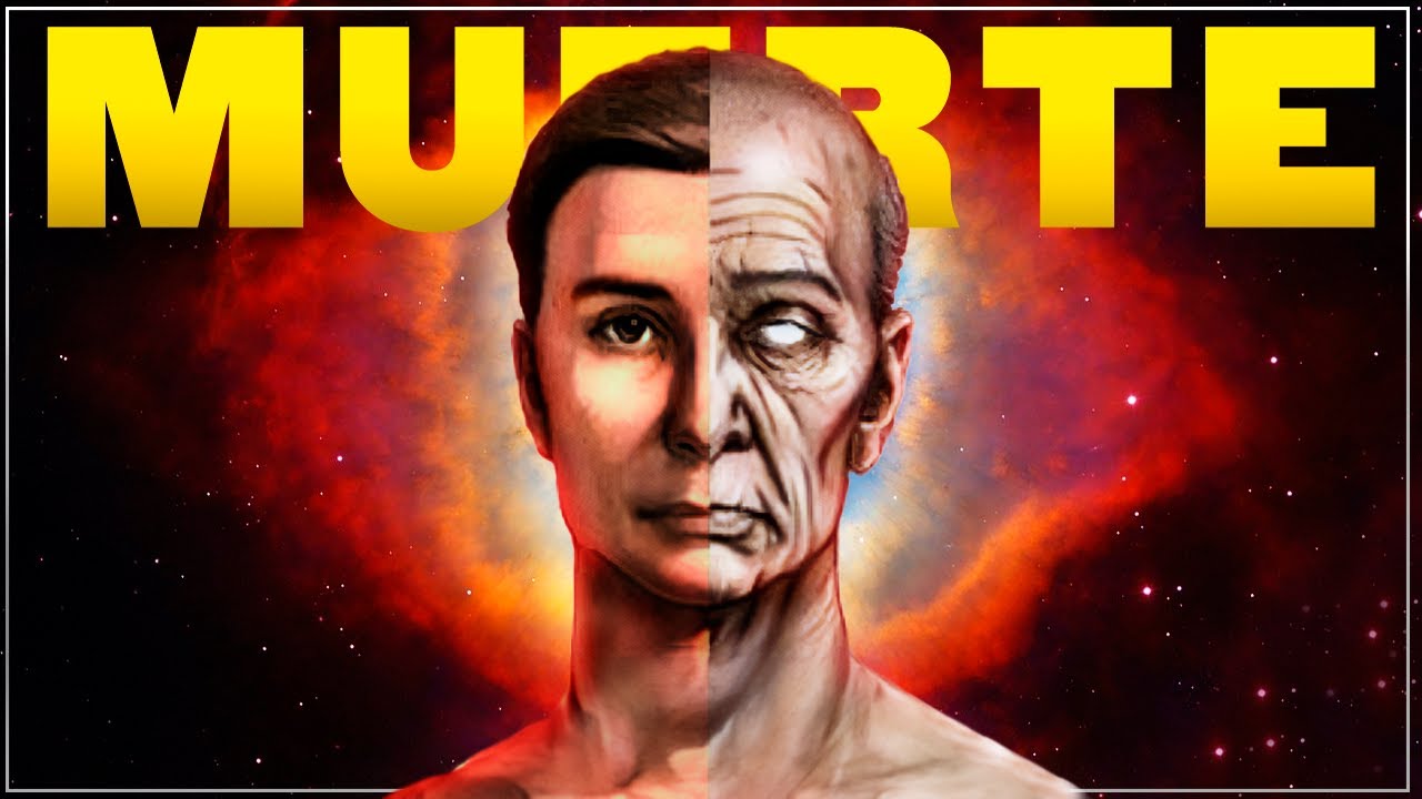 La INSIGNIFICANCIA de la MUERTE
