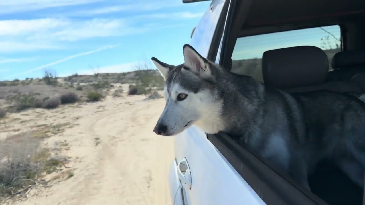 Off-roading with Chloe 
