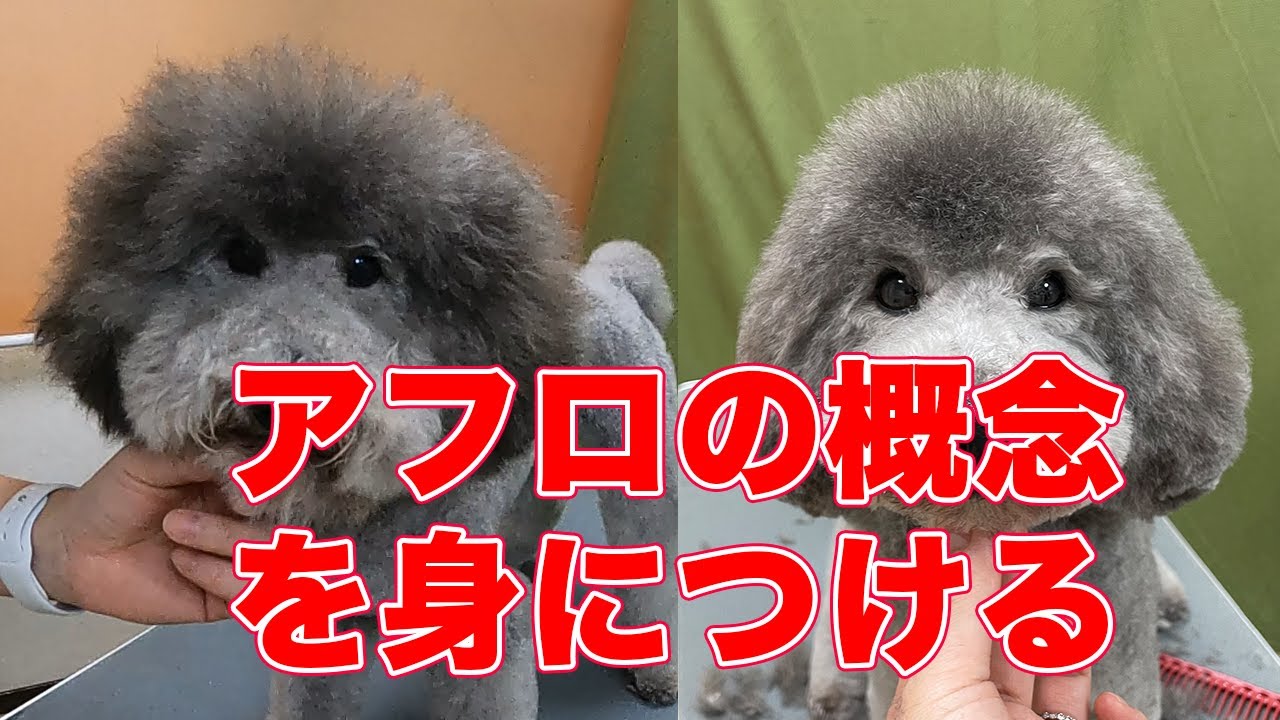 #123【アフロカット】ややこしいぼんやりしたカットスタイルの一つ。解らない人向けです。