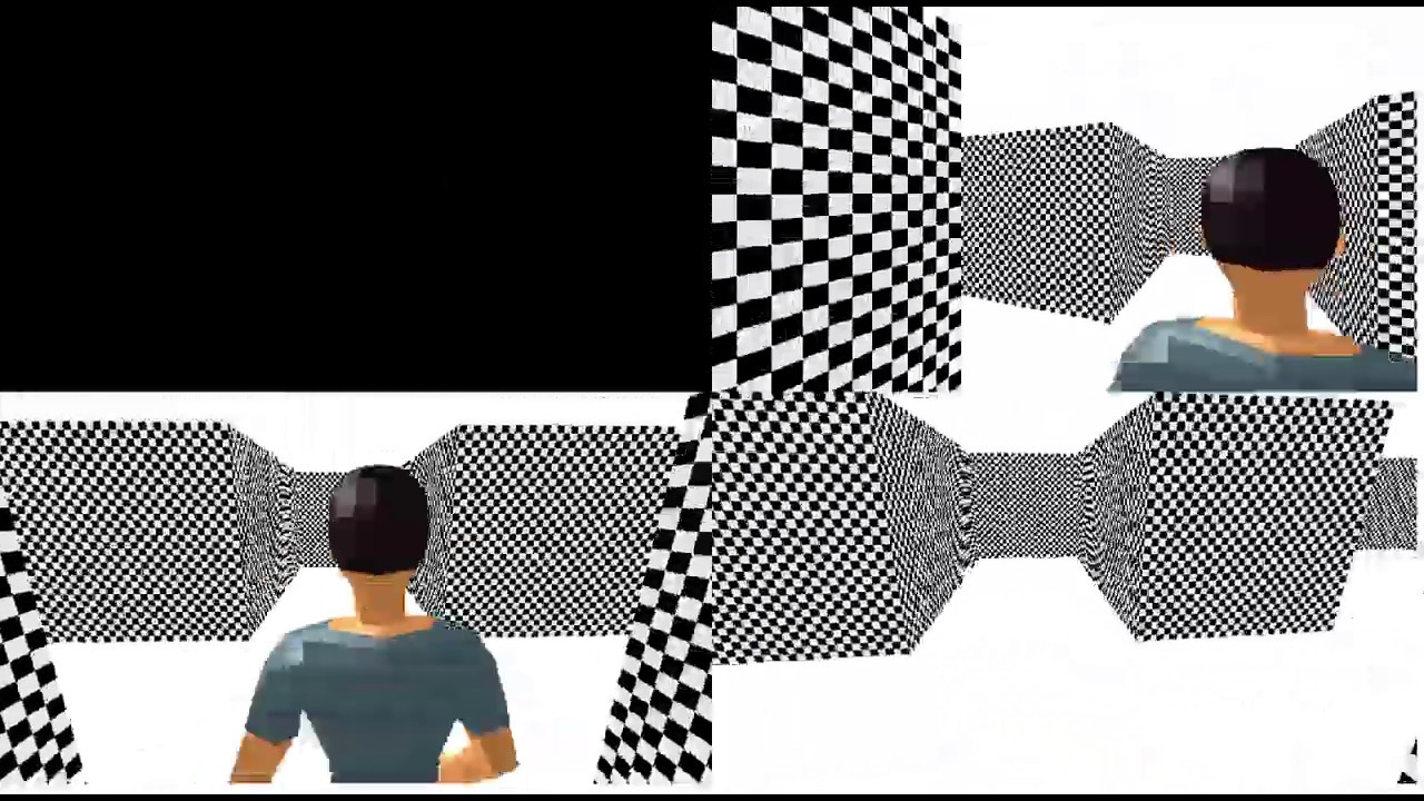 3D Monster Maze - split-screen multiplayer