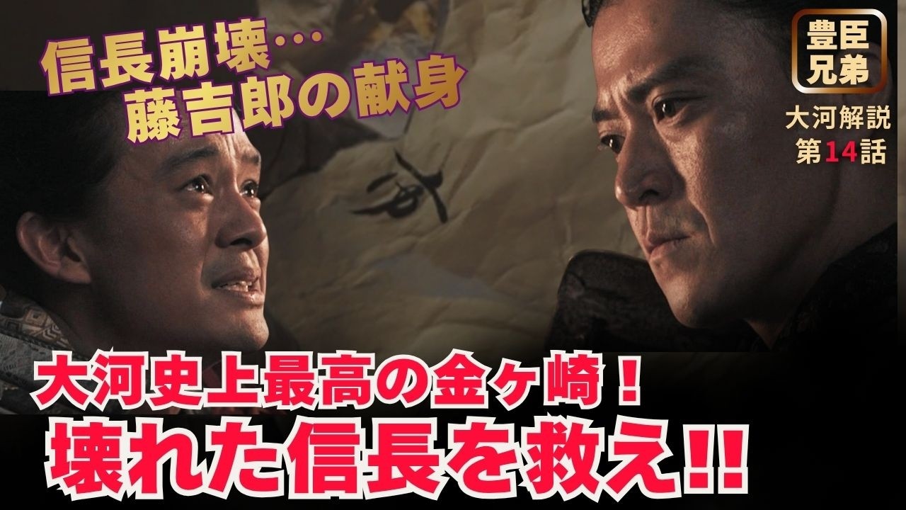 【日本史】「豊臣兄弟！」に学ぶ人生好転のヒント‼️｜第14話 「絶体絶命！」 #白駒妃登美