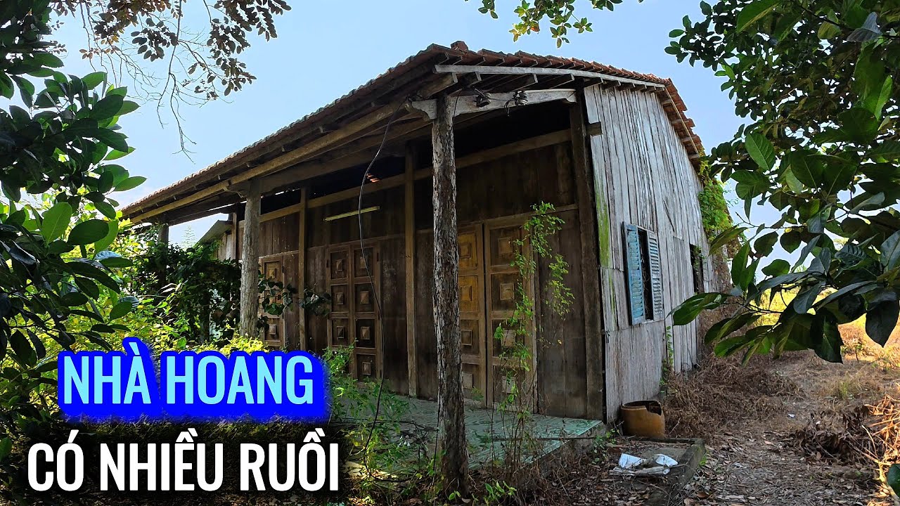Rùng mình khi tiếp cận ngôi nhà hoang có nhiều ruồi 