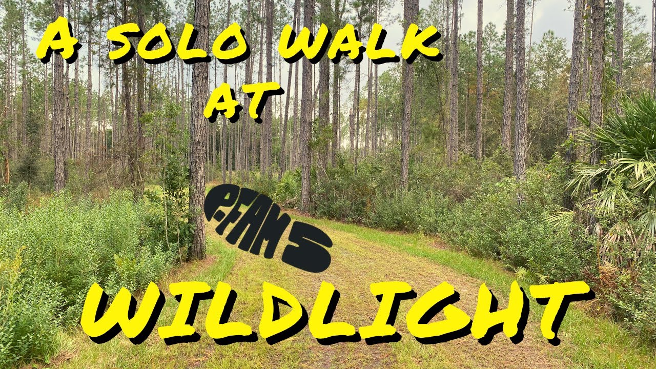 A walk at Wildlight in Yulee Florida